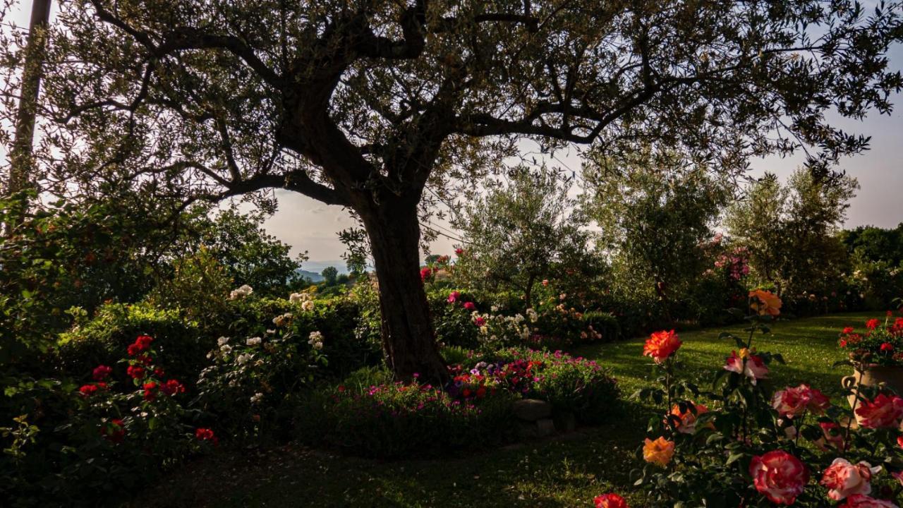Il Casale di Fiore Cannara Esterno foto