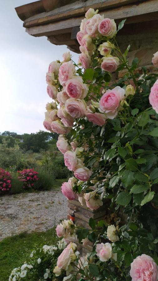 Il Casale di Fiore Cannara Esterno foto